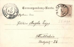 Radauti, Radóc; synagogue