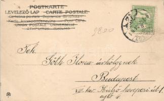 New Year, Art Nouveau s: H. Schubert