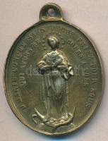 Olaszország / Pápai Állam ~1860. "IX. Pius pápa / Csodás érem" Br medál (28x32mm) T:2
Ital...