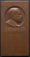 Murányi Gyula (1881-1920) ~1910. "Hieronymi Károly" volt belügyminiszter, politikus, mérnök bronz emlékérem (70x35.5mm) T:2 / ~1910. Károly Hieronymi ex interior minister, politician and engineer Br plaque Sign: Gyula Murányi (70x35.5mm) C:XF HP-3669.
