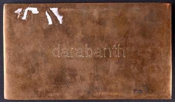 1970. "Köszöntjük Felszabadulásunk 25. Évfordulóját 1945-1970" Br szögletes plakett (123x7...