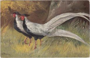 Birds, hunting s: Alfred Schönian