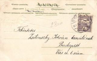 New Year, bowling pigs, bizarre, Emb. litho