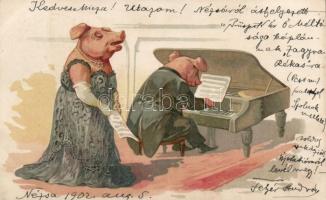 Pigs, piano litho