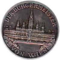 Ausztria DN "Der Bürgermeister von Wien" jelzett Ag egyoldalas emlékérem (22.54g/0.800/40mm) T:2 Austria ND "Der Bürgermeister von Wien" one-sided hallmarked Ag medallion (22.54g/0.800/40mm) C:XF