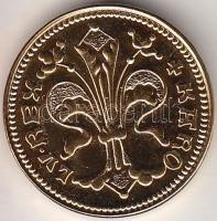 DN Károly Róbert arany forint aranyozott CuNi utánveret T:1 Tanúsítvánnyal