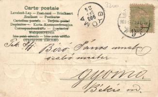 Cat family Emb. litho