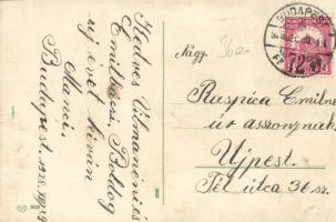 New Year, pig gentleman litho