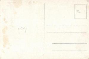 New Year, camel gentleman