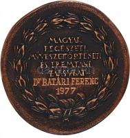 1977. "Pasteiner Gyula Emlékére / Magyar Régészeti, Művészettörténeti és Éremtani Társulat&quot...