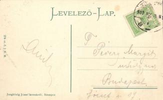 Szenc, Szempc; Molnár Albert utca / street