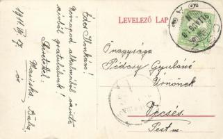 Csízfürdő Villa Milán