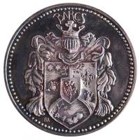 Beck András (1911-1985) DN "Barcs" ezüstözött emlékérem dísztokban T:PP patina