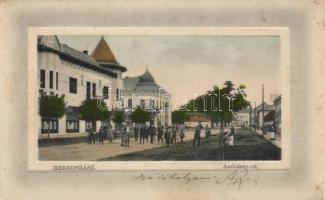 Beregszász Andrássy street (gluemark)