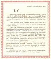 Schwapp légyfogó / Hungarian fly-trap advertisement, folding card