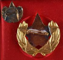 ~1970. "A Belkereskedelem Kiváló Dolgozója" aranyozott kitüntetés miniatűrrel eredeti dísz...