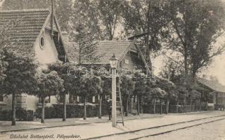 Battonya Vasútállomás (fa)