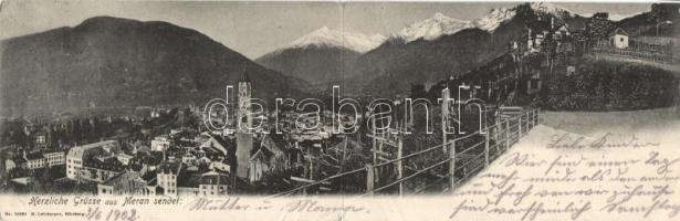 Meran panoramacard (fa)