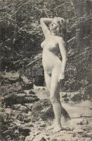 Nude, Künstler Akt-Studie (non pc)