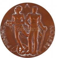 1935. "Dunaszentgyörgyi Tolnay Kornél - 1935 / Mindig A Közért" Br emlékérem. Szign.: Beck...