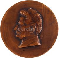 1932. "Kner Izidornak Könyvnyomtató Munkássága 50 Éves Fordulóján Kartársai, Tisztelői. 1932." Br emlékérem. Szign.: Pátzay Pál (59.5mm/68.3g) T:2 Hungary 1932. "Izidor Kner" Br commemorative medallion. Sign: Pál Pátzay (59.5mm/68.3g) C:XF HP 3798.