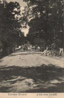 Técső Híd street, linden