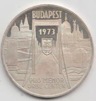 Csúcs Viktória (1934-) 1973. "Pest-Buda-Óbuda egyesítésének centenáriuma / ÁPV emléktallér" Ag emlékérem (25,1g/42,5mm) T:PP
