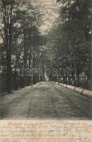 Szolnok vasúti fasor (EB)