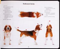 Fülétől a Farkáig: A legjobb kutyafajták. Átfogó útmutató a tökéletes háziállat kiválasztásához. Deb...