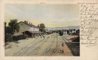 Gyöngyös indóház (ázott / wet damage)