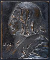 DN. "Liszt Ferenc" domború egyoldalas Br plakett (52.6x63.3mm) T:2