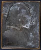 DN. "Liszt Ferenc" domború egyoldalas Br plakett (52.6x63.3mm) T:2