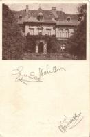 Iregszemcse - Felsőireg kastély (fa)