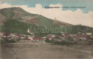 Szilágysomlyó Magura mountain (fa)