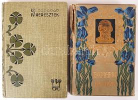 4db Szépművészeti témájú könyv: Váradi Antal: Emlékeim. Bp., 1904. Singer és Wolfner kiadása. Gallovich Jenő: Föld. Bp., 1909. Athenaeum. Kemenes (Kempf) József: Homeros Odysseiája. Bp., Lampel R. Könyvkereskedése. Rákosi Viktor: Új Fakeresztek. Bp., Révai kiadás. Szecessziós egészvászon kötésekben.
