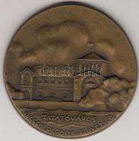 1938. "I. Nemzetközi Műv. Fénykép kiállítás-Tatatóváros" nagyalakú bronzplakett T:2