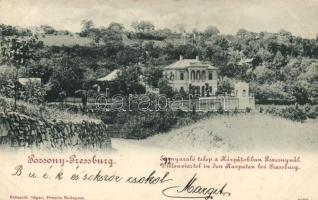 1898 Pozsony holiday houses