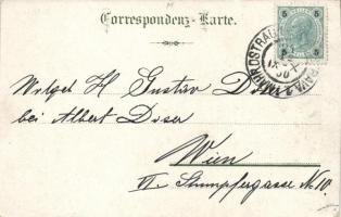 1900 Ostrava,Ostrau; Sofienhütte. Verlag R. Papauschek / Iron works