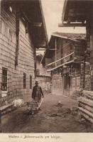 Volary, Wallern im Böhmerwalde am Weiger; street, man with wheelbarrow (EK)