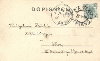 Caslav, theatre; floral