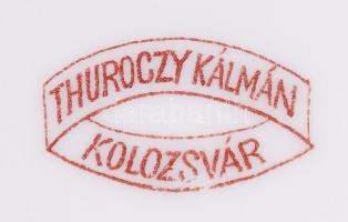 cca 1900 "Thuroczy Kálmán - Kolozsvár" jelzéssel, részben kézzel festett, aranyozott porce...