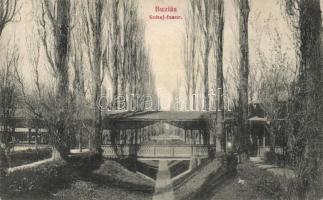 Buziásfürdő Sóhaj-fasor / park alley