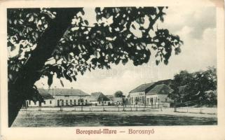 Nagyborosnyó (small tear)