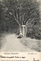 Sopron, Hét bükkfa 1 óra