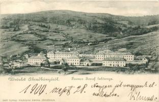 Abrudbánya Franz Joseph military barracks (fa)