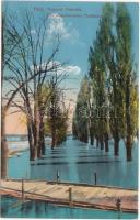 Titel Tisza-part, áradás / flood