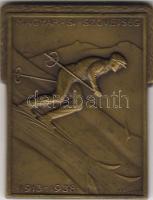 1938. "Magyar Sí Szövetség" szögletes bronz plakett T:2 Szign:Berán L.