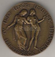 1919. "Az éremkedvelők első elnöke - Gr. Teleki Sándor" nagyalakú bronzplakett T:2 Életraj...