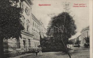 Gyulafehérvár officer pavilion