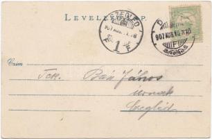 Déva, main street with the shop of the Hirsch brothers, Hotel Fehér Kereszt